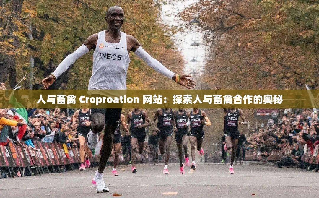 人与畜禽 Croproation 网站：探索人与畜禽合作的奥秘