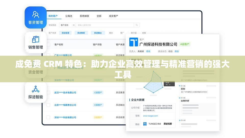 成免费 CRM 特色：助力企业高效管理与精准营销的强大工具