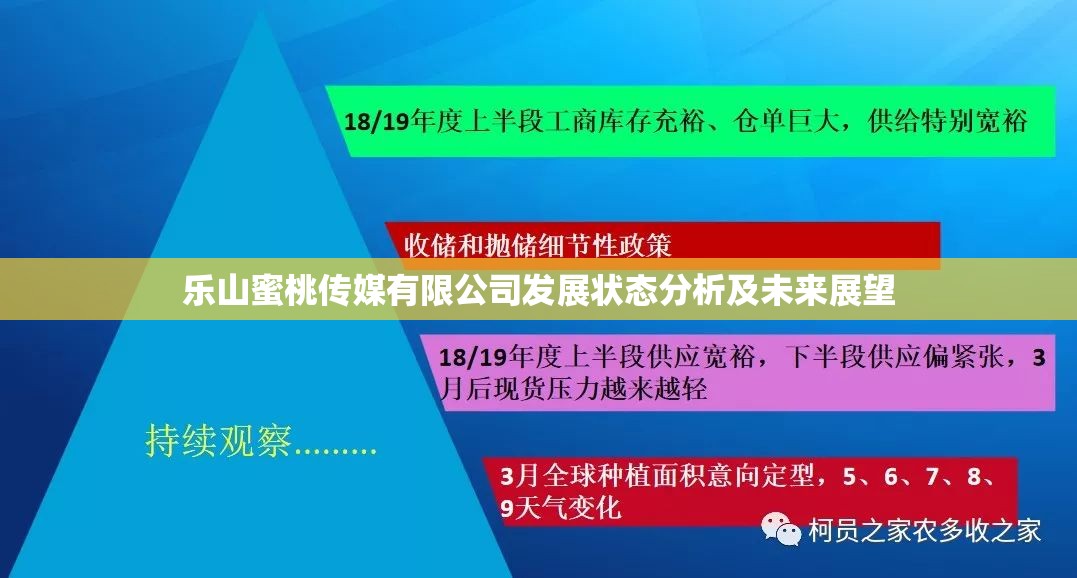 乐山蜜桃传媒有限公司发展状态分析及未来展望