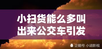 小扫货能么多叫出来公交车引发的出行新现象探讨