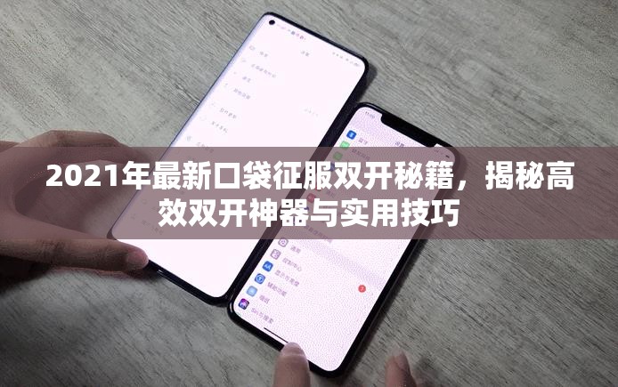 2021年最新口袋征服双开秘籍，揭秘高效双开神器与实用技巧