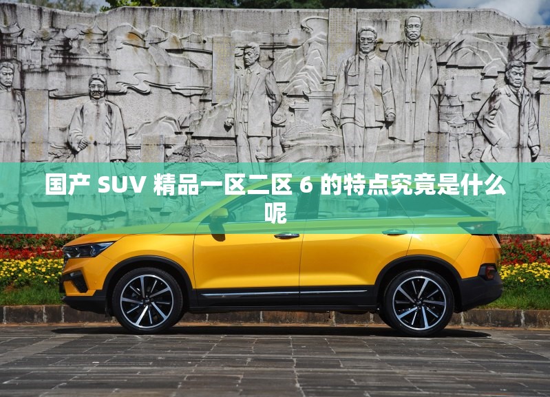 国产 SUV 精品一区二区 6 的特点究竟是什么呢