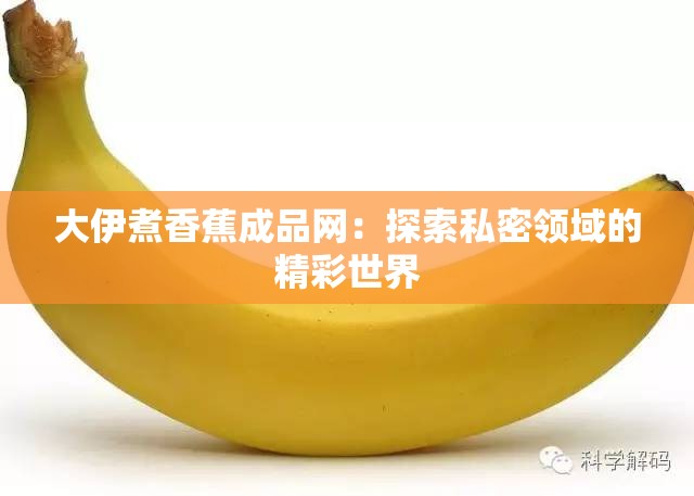 大伊煮香蕉成品网：探索私密领域的精彩世界