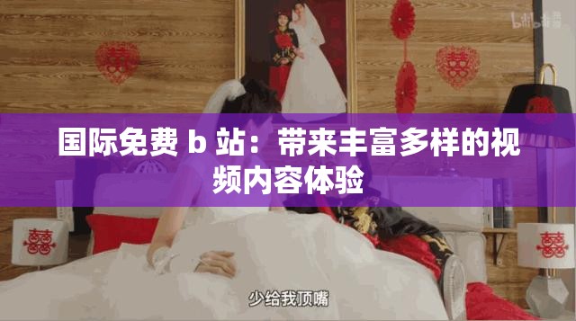 国际免费 b 站：带来丰富多样的视频内容体验