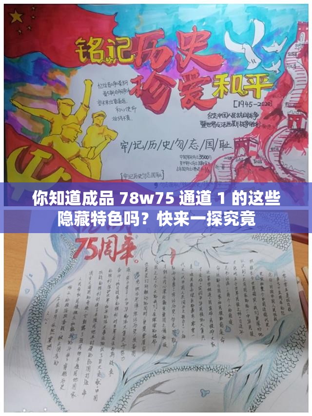 你知道成品 78w75 通道 1 的这些隐藏特色吗？快来一探究竟