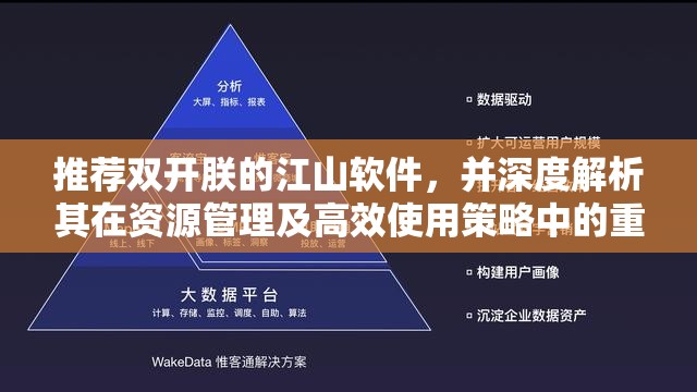 推荐双开朕的江山软件，并深度解析其在资源管理及高效使用策略中的重要性