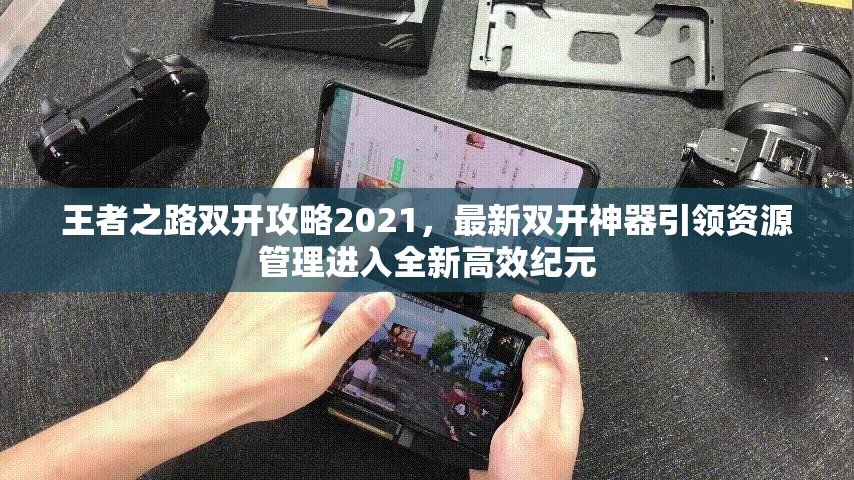 王者之路双开攻略2021，最新双开神器引领资源管理进入全新高效纪元