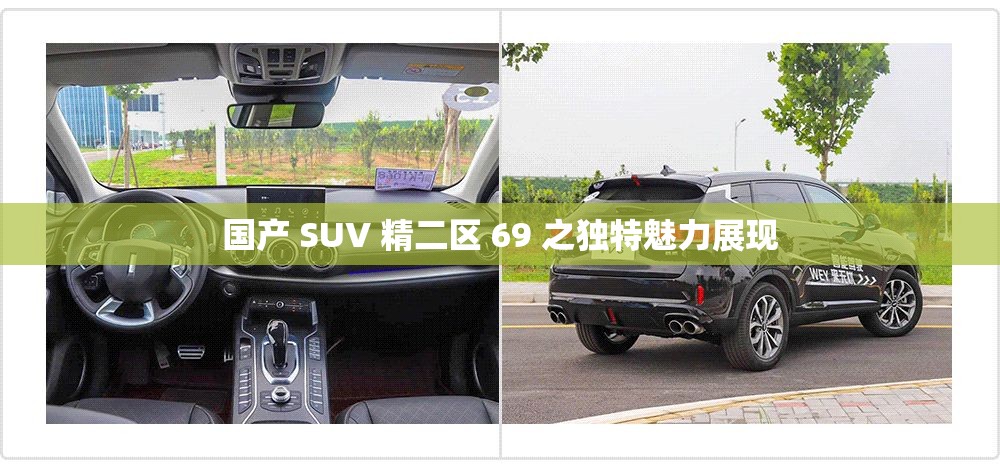 国产 SUV 精二区 69 之独特魅力展现