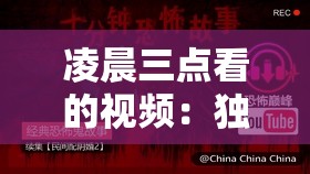 凌晨三点看的视频：独特视角下的奇妙体验