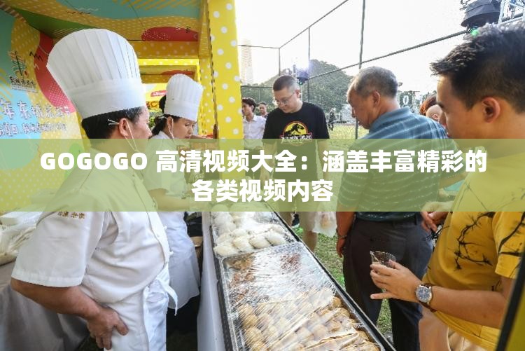 GOGOGO 高清视频大全：涵盖丰富精彩的各类视频内容