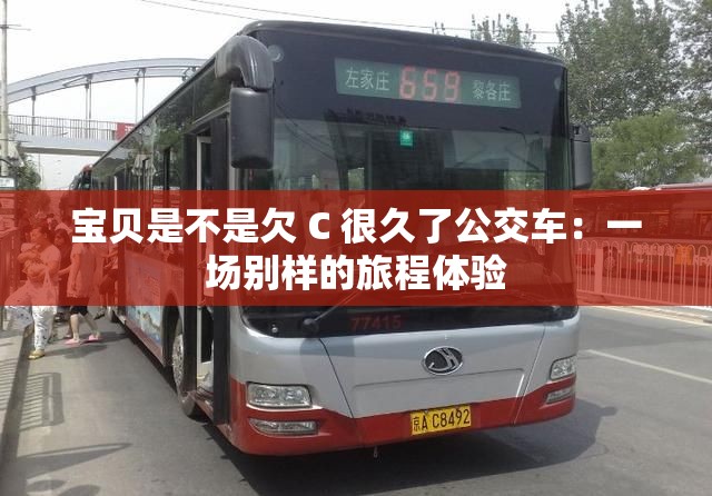 宝贝是不是欠 C 很久了公交车：一场别样的旅程体验