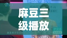 麻豆三级播放：精彩内容不容错过的极致视觉盛宴