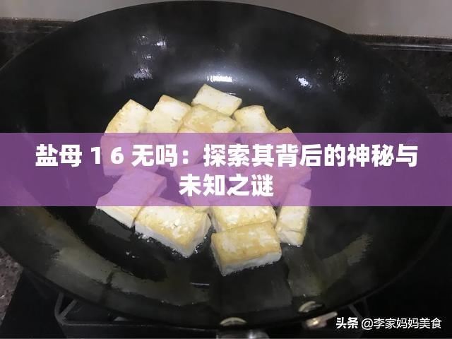 盐母 1 6 无吗：探索其背后的神秘与未知之谜