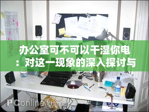 办公室可不可以干湿你电：对这一现象的深入探讨与分析