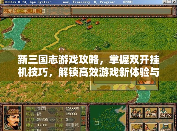 新三国志游戏攻略，掌握双开挂机技巧，解锁高效游戏新体验与策略