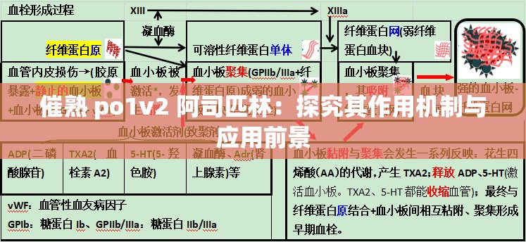 催熟 po1v2 阿司匹林：探究其作用机制与应用前景