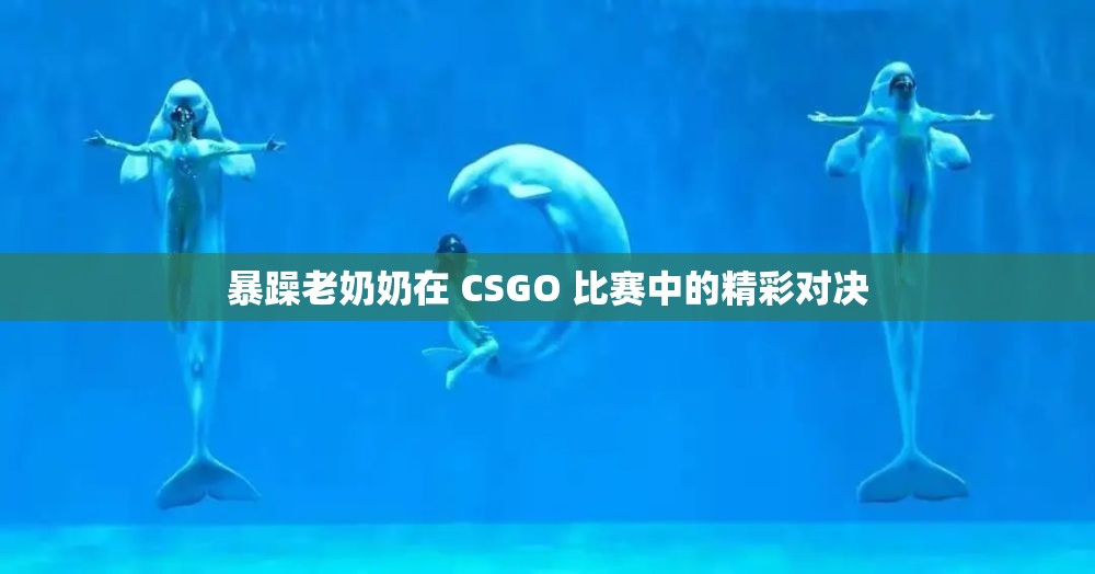 暴躁老奶奶在 CSGO 比赛中的精彩对决