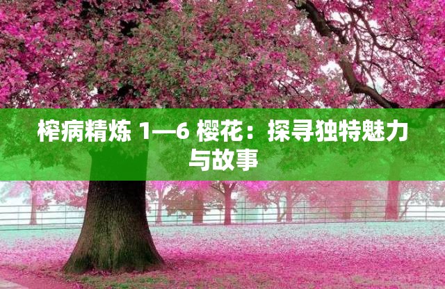 榨病精炼 1—6 樱花：探寻独特魅力与故事