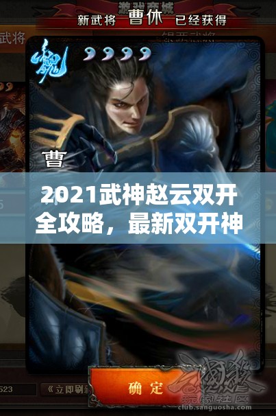 2021武神赵云双开全攻略，最新双开神器使用技巧与揭秘详解