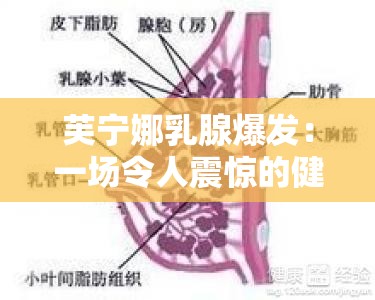 芙宁娜乳腺爆发：一场令人震惊的健康危机