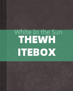 THEWHITEBOX 黑与白：探索时尚与艺术的无限可能