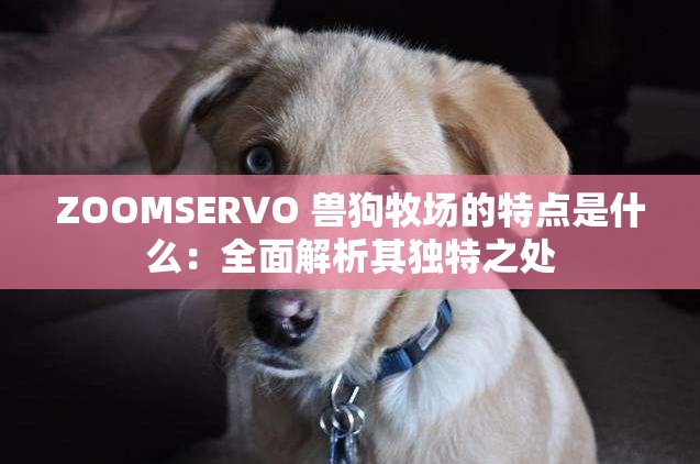 ZOOMSERVO 兽狗牧场的特点是什么：全面解析其独特之处