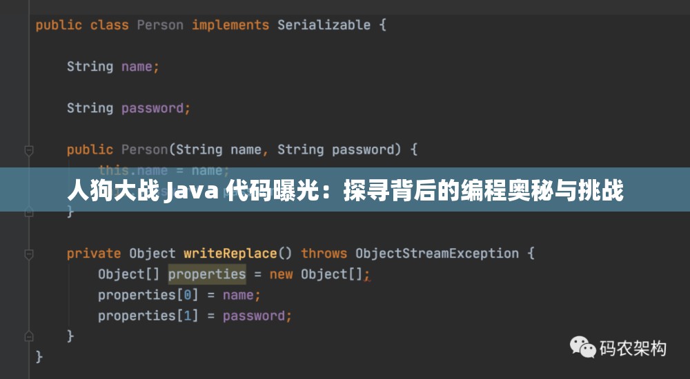 人狗大战 Java 代码曝光：探寻背后的编程奥秘与挑战