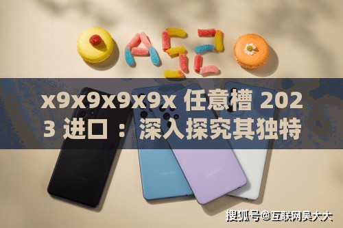 x9x9x9x9x 任意槽 2023 进口 ：深入探究其独特魅力与市场表现