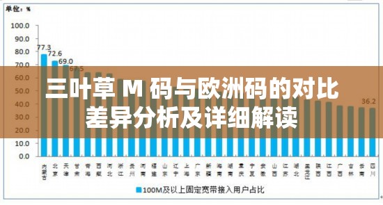 三叶草 M 码与欧洲码的对比差异分析及详细解读