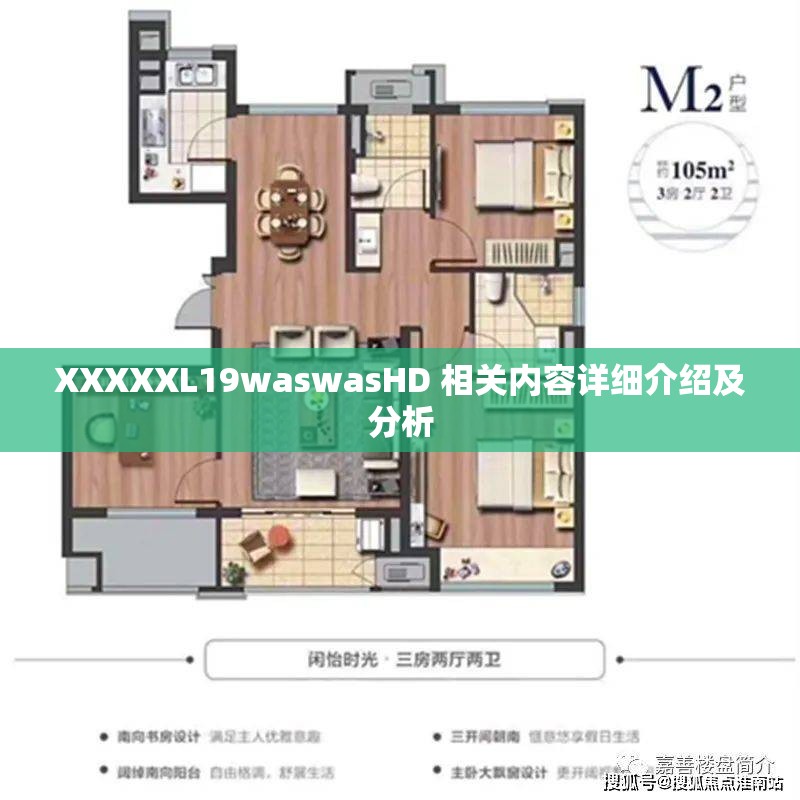 XXXXXL19waswasHD 相关内容详细介绍及分析