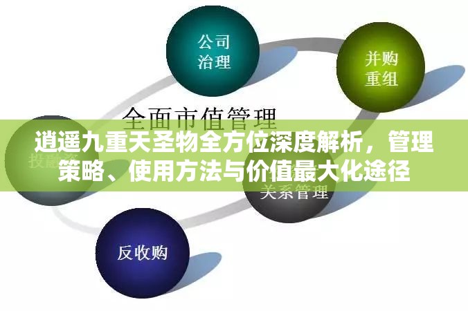 逍遥九重天圣物全方位深度解析，管理策略、使用方法与价值最大化途径