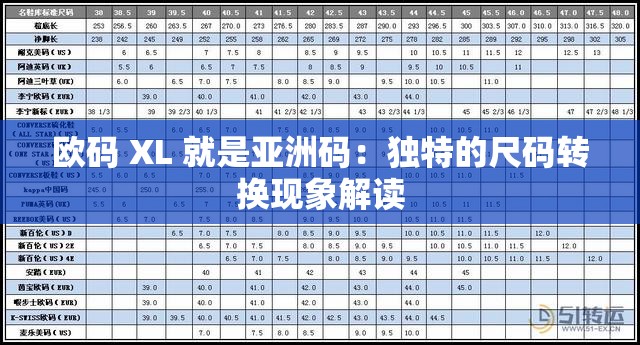 欧码 XL 就是亚洲码：独特的尺码转换现象解读