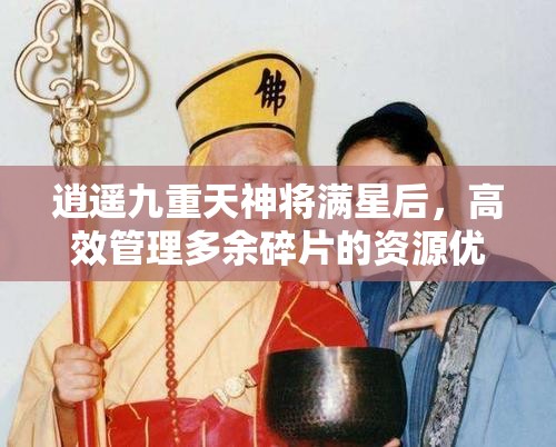 逍遥九重天神将满星后，高效管理多余碎片的资源优化智慧与策略