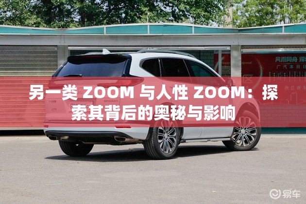 另一类 ZOOM 与人性 ZOOM：探索其背后的奥秘与影响