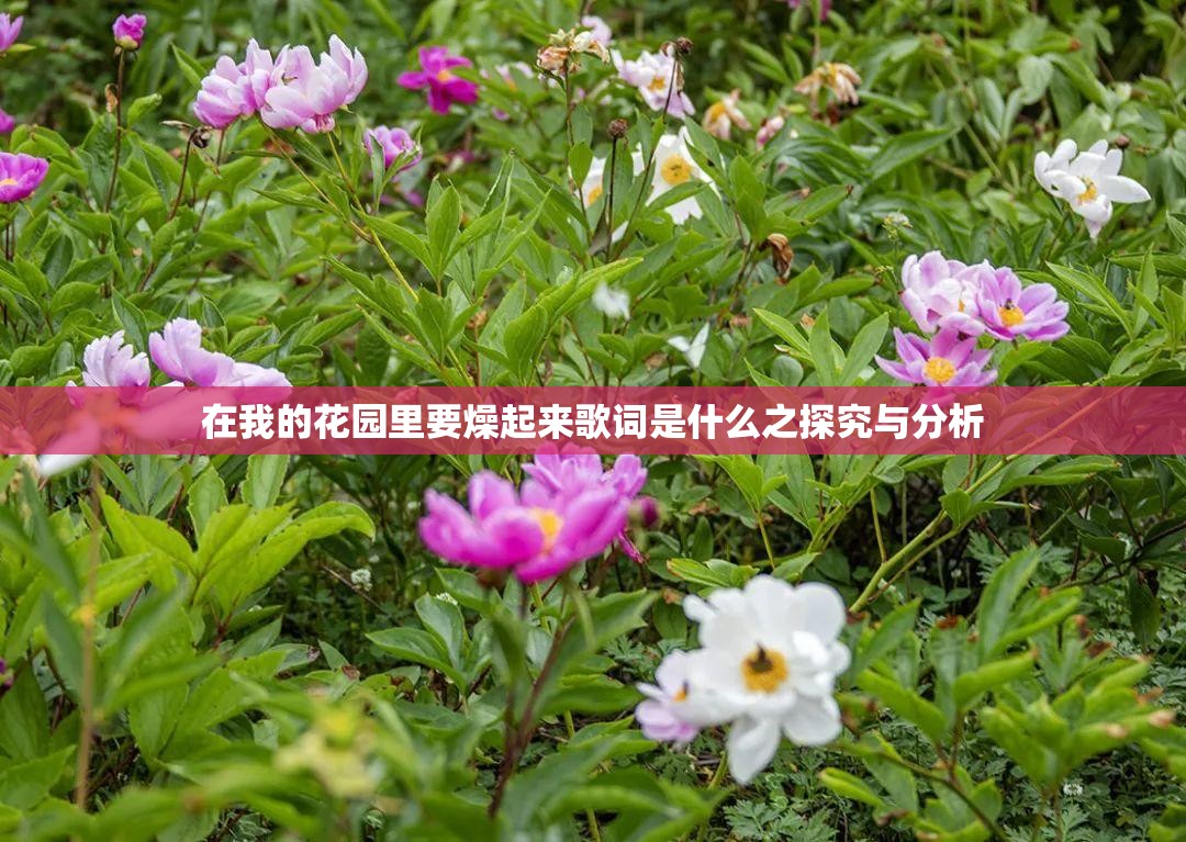 在我的花园里要燥起来歌词是什么之探究与分析