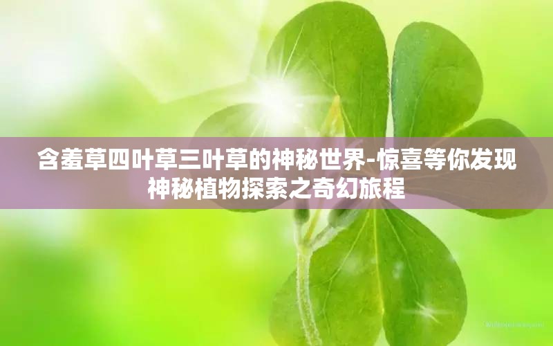 含羞草四叶草三叶草的神秘世界-惊喜等你发现神秘植物探索之奇幻旅程