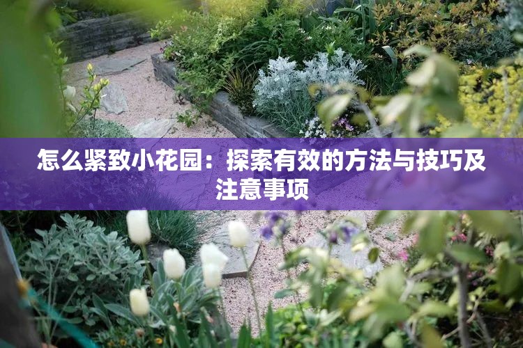 怎么紧致小花园：探索有效的方法与技巧及注意事项