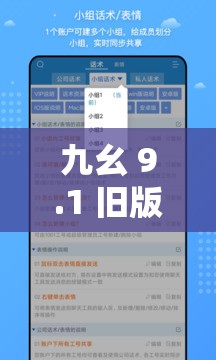 九幺 9.1 旧版安装方法揭秘：用户反馈及深度分析