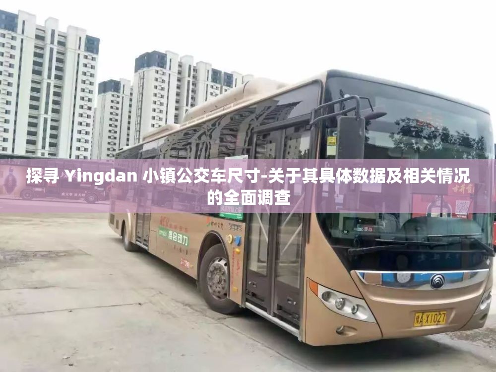 探寻 Yingdan 小镇公交车尺寸-关于其具体数据及相关情况的全面调查