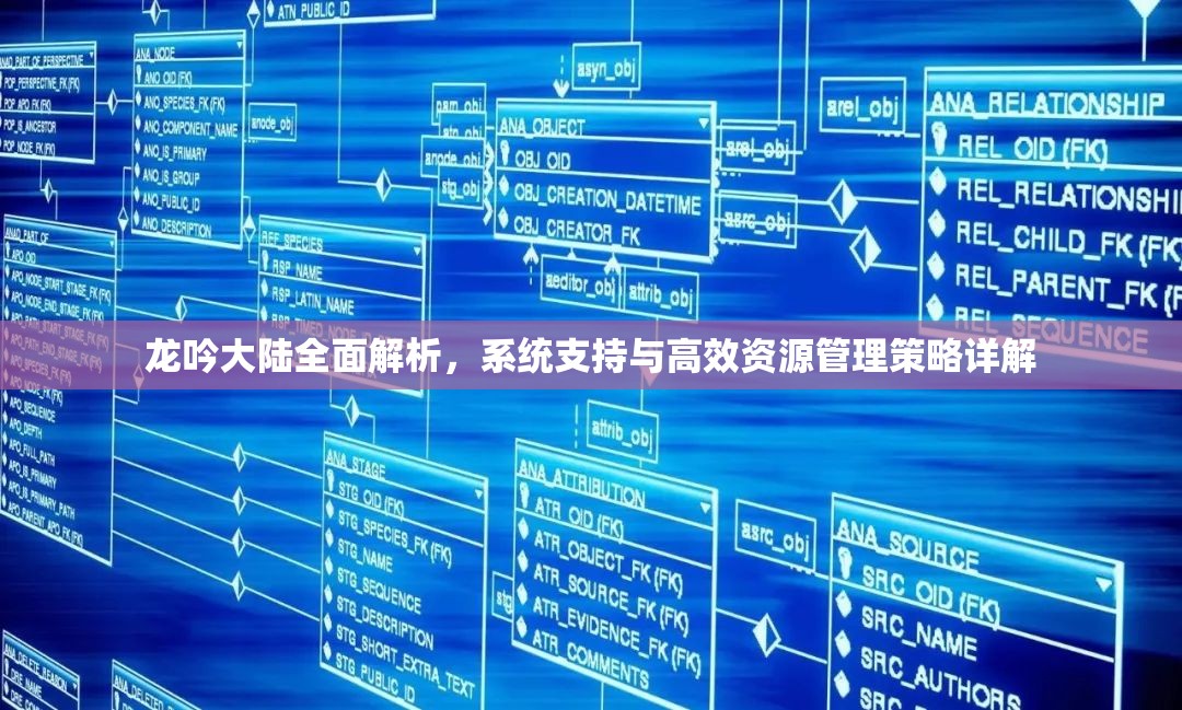 龙吟大陆全面解析，系统支持与高效资源管理策略详解