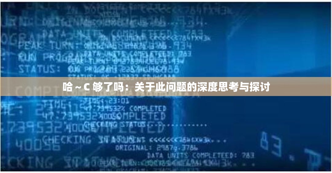 哈～C 够了吗：关于此问题的深度思考与探讨