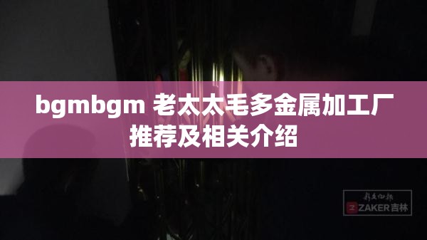 bgmbgm 老太太毛多金属加工厂推荐及相关介绍