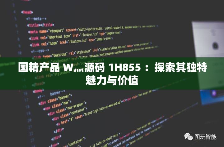 国精产品 W灬源码 1H855 ：探索其独特魅力与价值