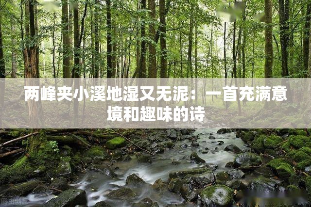 两峰夹小溪地湿又无泥：一首充满意境和趣味的诗