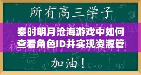 秦时明月沧海游戏中如何查看角色ID并实现资源管理的高效利用与价值最大化