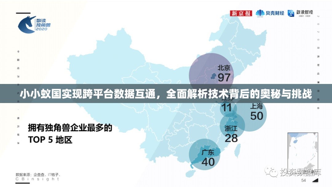 小小蚁国实现跨平台数据互通，全面解析技术背后的奥秘与挑战