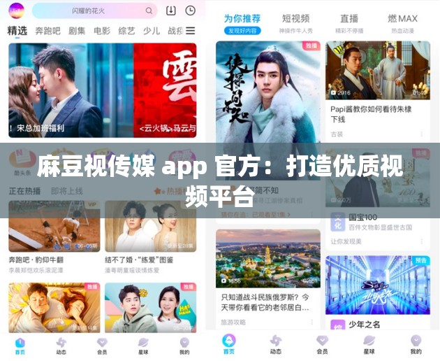 麻豆视传媒 app 官方：打造优质视频平台