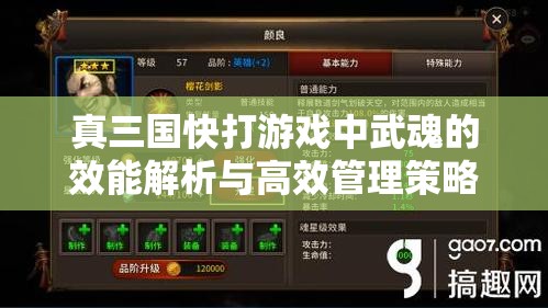 真三国快打游戏中武魂的效能解析与高效管理策略探讨