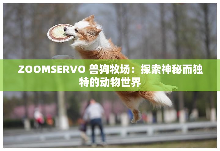 ZOOMSERVO 兽狗牧场：探索神秘而独特的动物世界