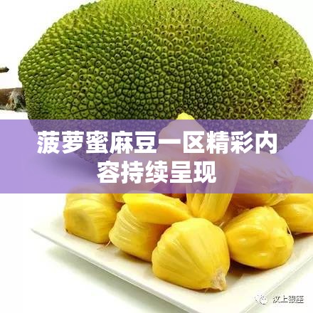 菠萝蜜麻豆一区精彩内容持续呈现